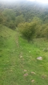We followed a sheep path at the top of the valley and found our way back down to the main path.