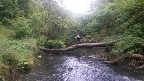 Marcus crossing the old tree 'bridge' - just before I had to go and rescue him.