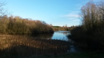 At Skylarks Nature Reserve, overlooking the reedbeds and wetland habitat.