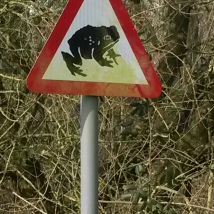 I love that my village has these signs. I've never seen them anywhere else.